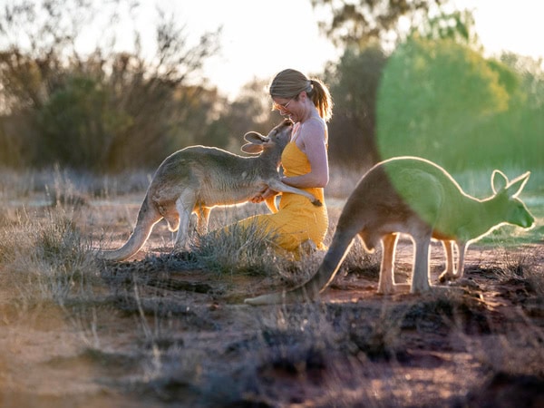 Woman petting a kangaroo at Kangaroo Sanctuary