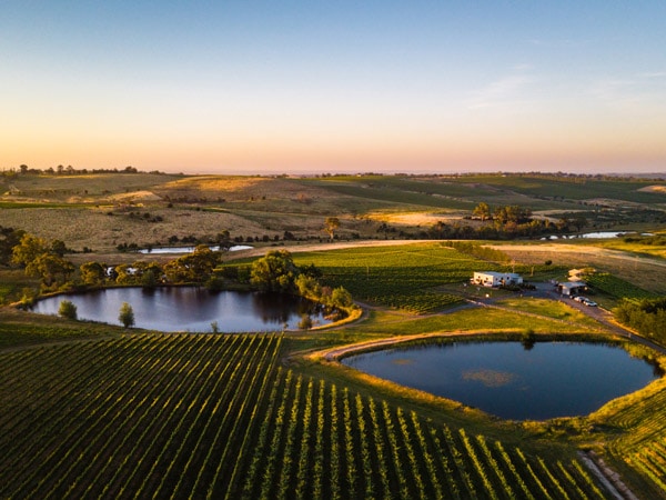Aerial view of Nashdale Lane’s vineyard near Orange