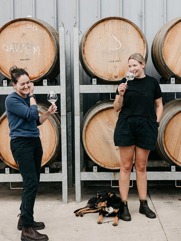 Oakridge wine barrels