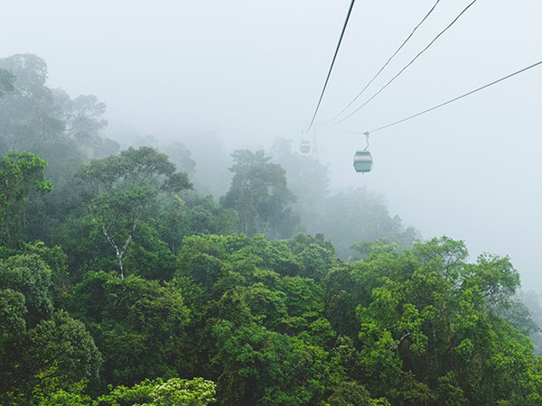 Skyrail Rainforest Cableway cairns