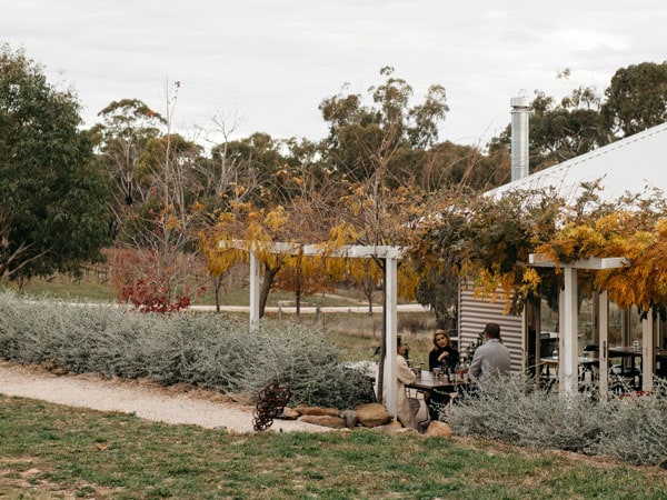 The scenic grounds of Swinging Bridge Wines, Orange.