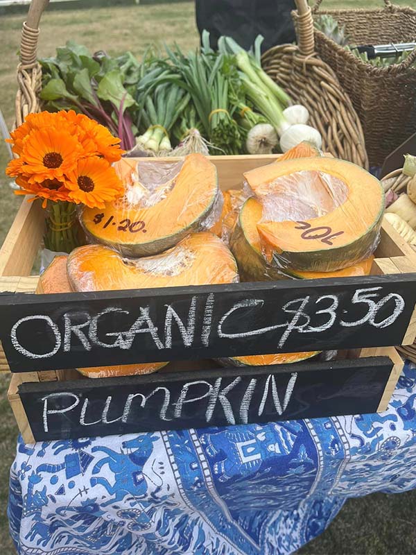 Bermi Markets