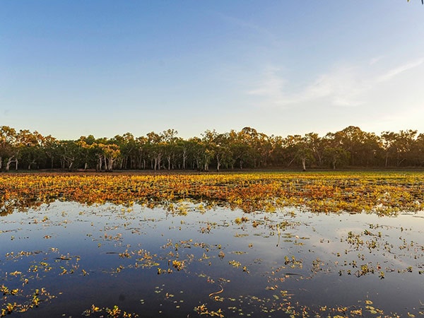 Lotusbird Lodge stay with Outback Spirit