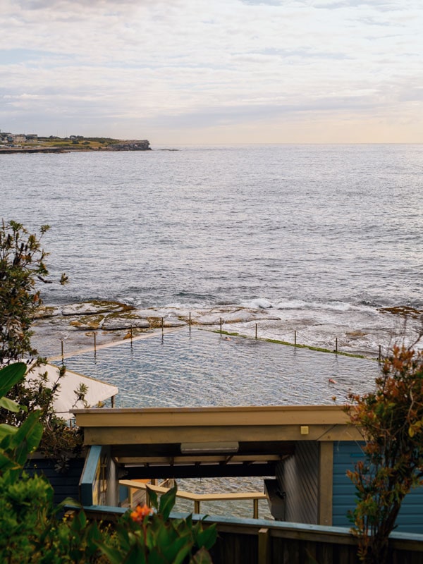 the hidden leafy entrance to Wylies Baths, Coogee