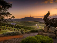 National Arboretum, ACT