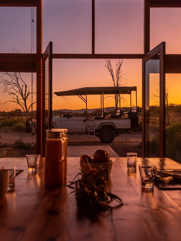 a safari drive in Arkaba at sunset