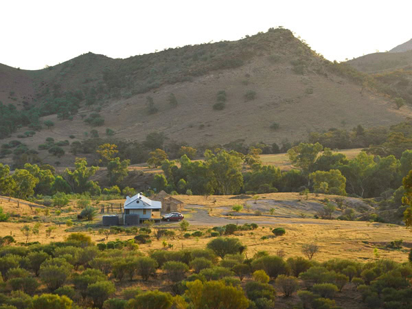 the Arkaba Station in the Flinders Ranges