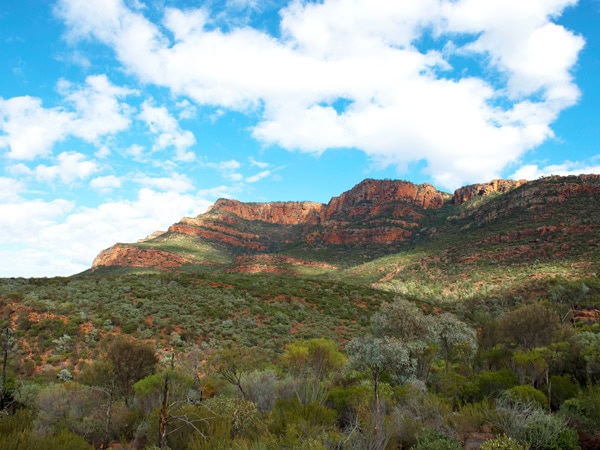 the scenic landscape at Akurra Adnya (Arkaroo Rock)
