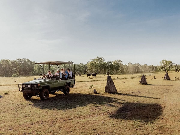 Bamurru Plains Endless Summer