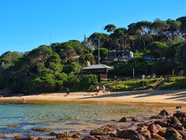 the beachfront view at Bar Beach Kiosk, Merimbula