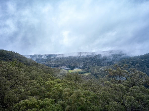 the Shoalhaven landscape in Bundanon