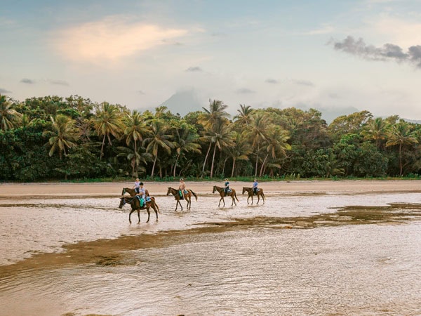 Cape Trib Horse Rides