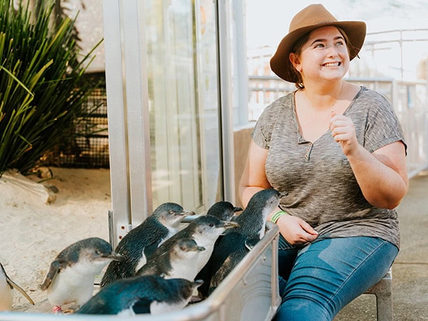 Coffs Coast Wildlife Sanctuary