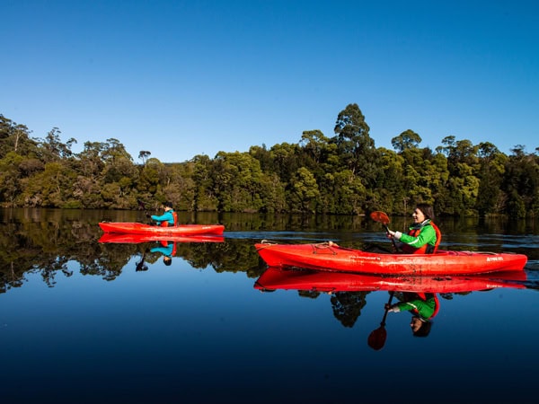 two people kayaking along the Pieman River