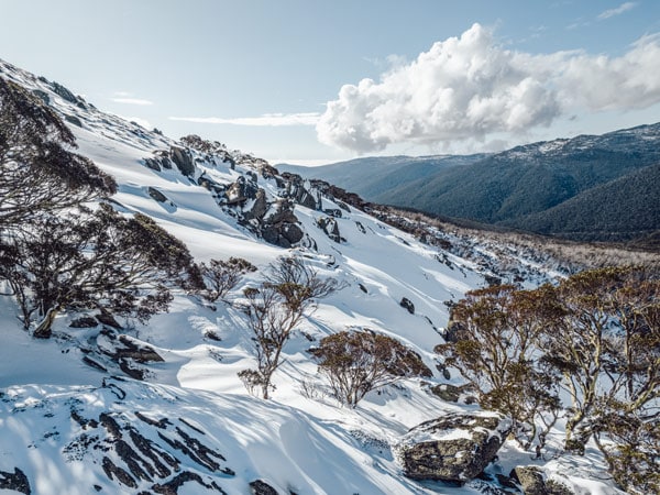 Thredbo landscape