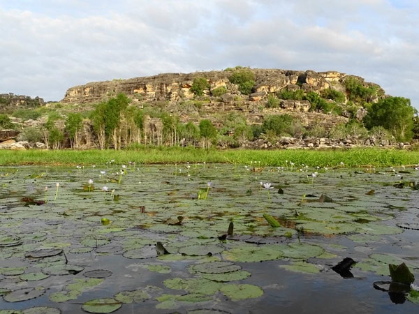 Swamp at Davidson's Arnhemland Safari Lodge