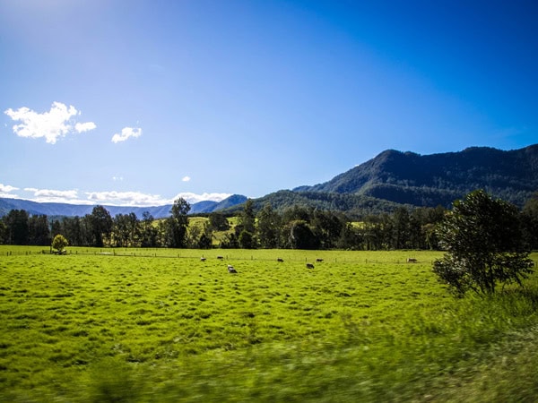 scenic mountain views in Dorrigo