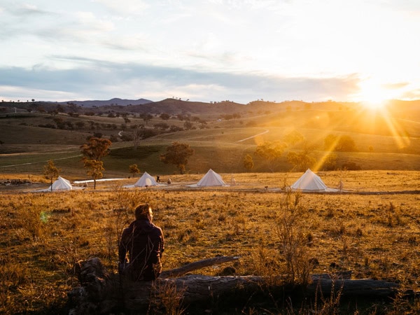 luxury glamping on a sheep and cattle farm