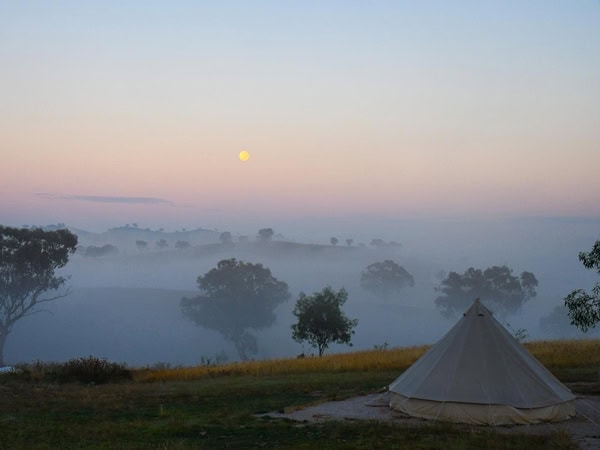 a glamping tent in a foggy landscape at Glenayr Farm Mudgee