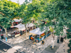 an aerial view of Coffs Coast Growers Markets