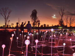 the Sunrise Field of Light Tour at Uluru, NT