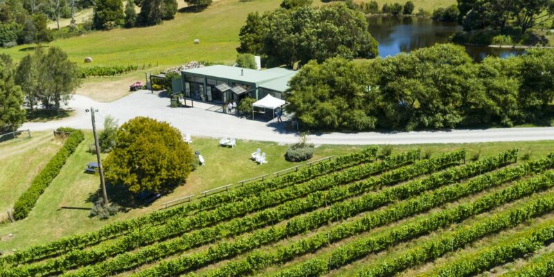 Aerial shot of Waratah Hills Vineyard