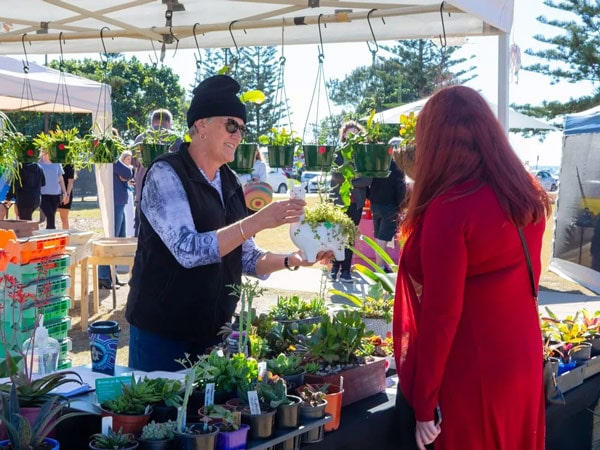 a woman buying a plant at a stall in Harbourside Markets, Coffs Harbour