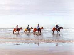 horse ride along picturesque Boambee Beach