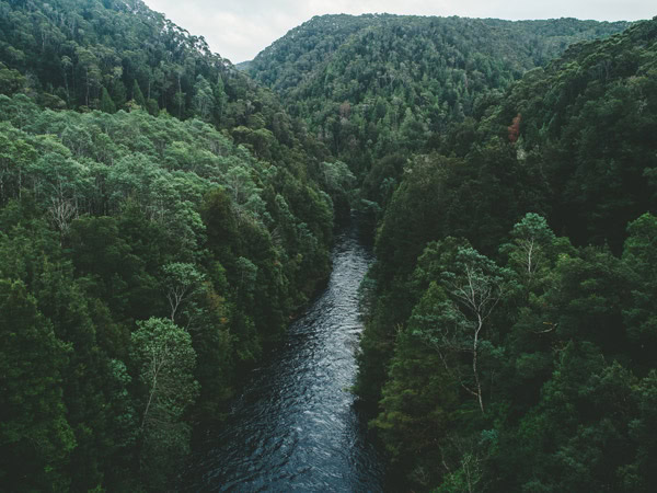 King River in Tasmania