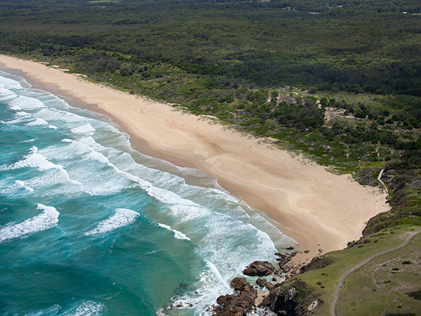 Moonee Beach from the headland