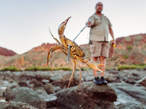 catching a crab on Ngurrangga Tours