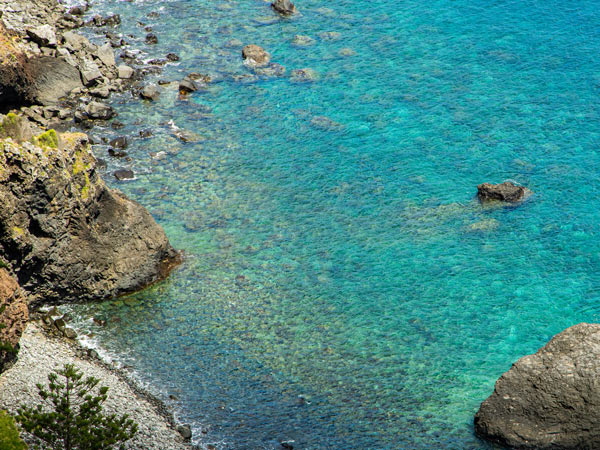 Beach at Norfolk Island Botanic Gardens