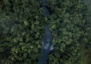 Daintree Rainforest, QLD