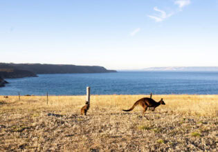 Kangaroo Island, SA