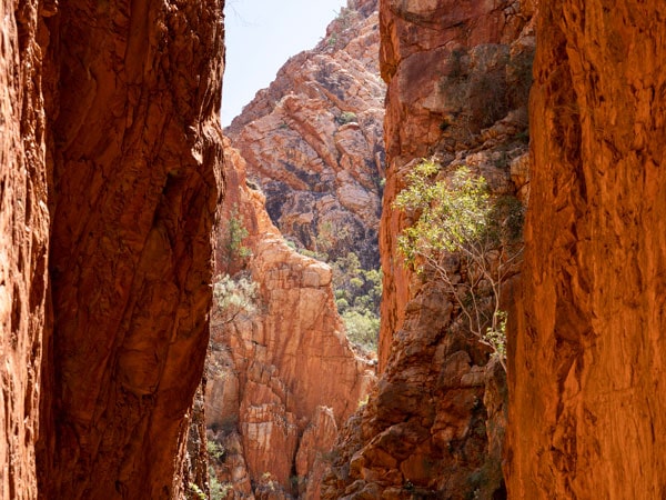 Everything you need to know about the Larapinta Trail ...