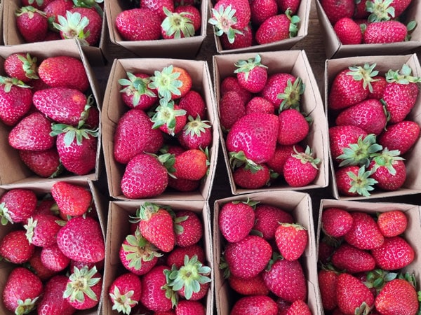 stacks of strawberries at Bellingen Growers Markets
