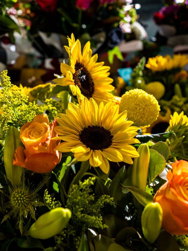 sunflowers at Brisbane Flower Market