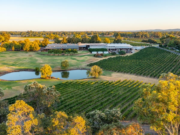 an aerial view of the grapevines at Sandalford Wines, Swan Valley