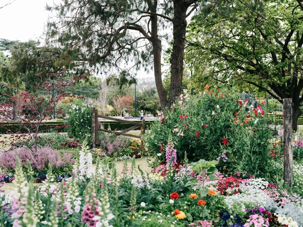 the Toowoomba Carnival of Flowers