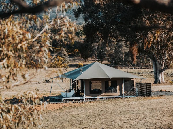 the glamping tent at Wildnest Farmstay