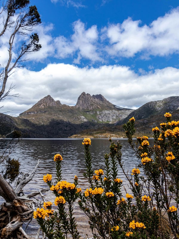 scenic views from Cradle Mountain and Dove Lake