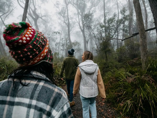 hikers traversing the foggy forest in Carrington Falls campground