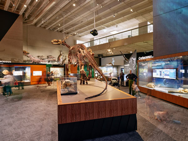 a look inside Dinosaurs Unearthed at Queensland Museum Kurilpa