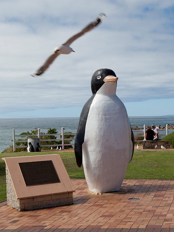 big penguin statue in penguin township tasmania