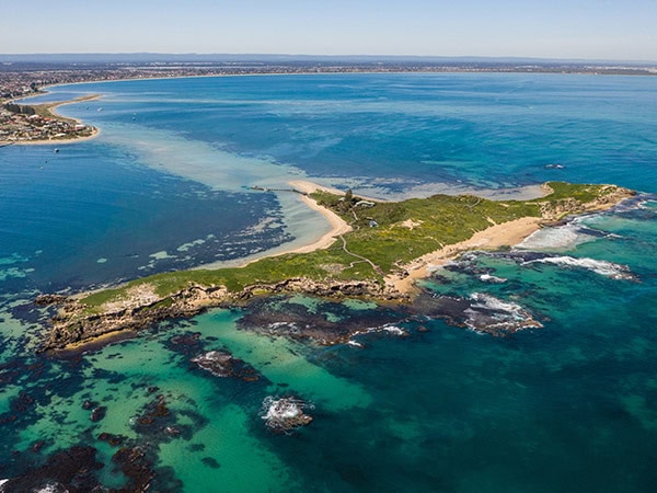 aerial shot of Penguin Island in western australia