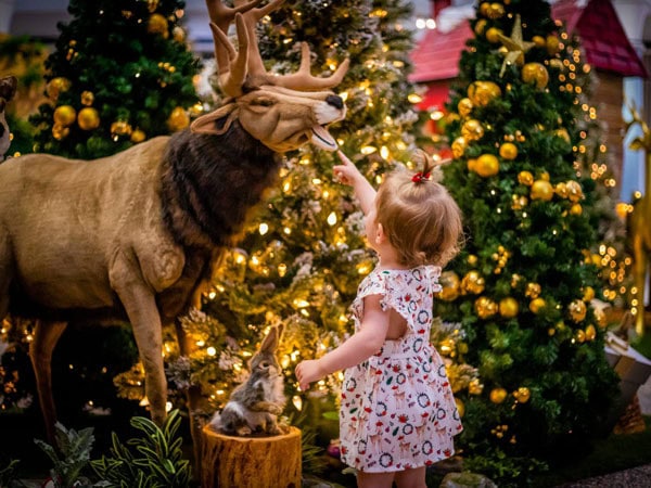 Reindeer and young girl at Frosted – A Winter Spectacular