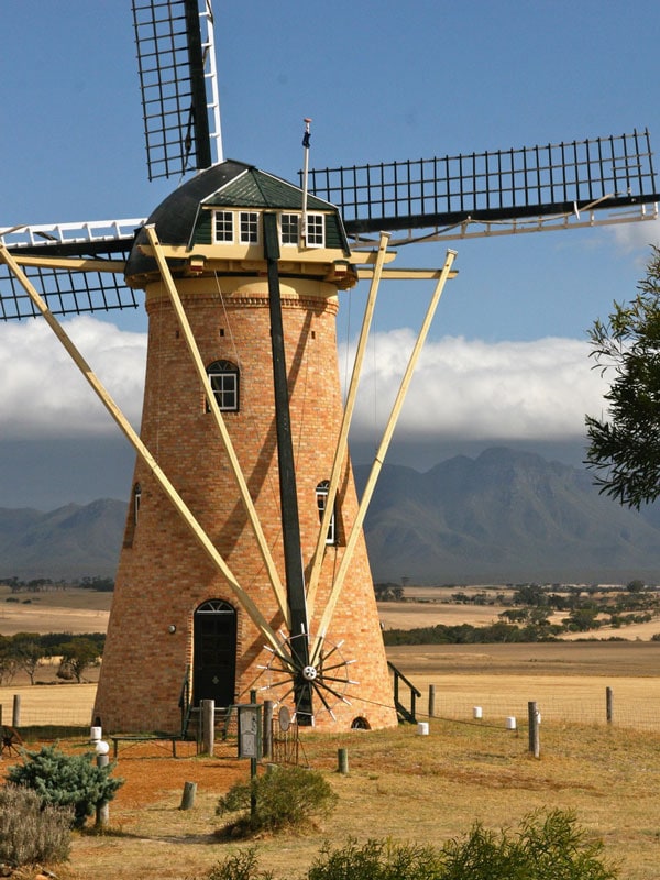 a Dutch windmill next to The Lily, WA