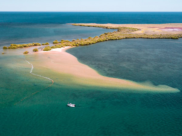 an aerial view of the seascape surrounding Wilderness Island