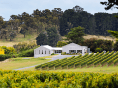 Best Orange wineries to visit