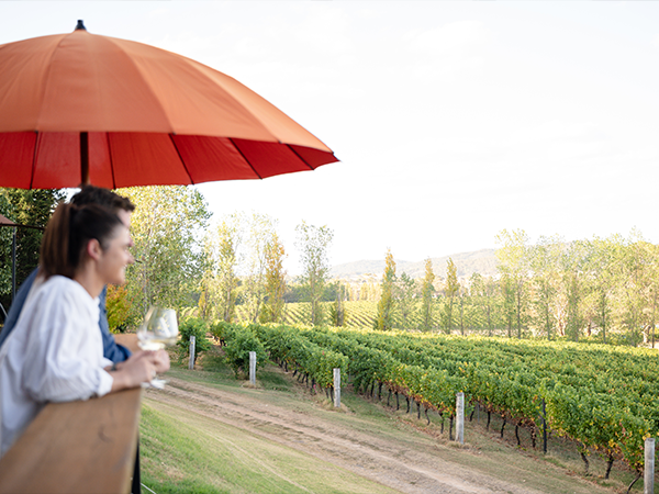Orange wineries